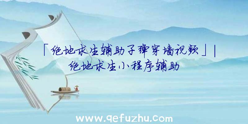 「绝地求生辅助子弹穿墙视频」|绝地求生小程序辅助